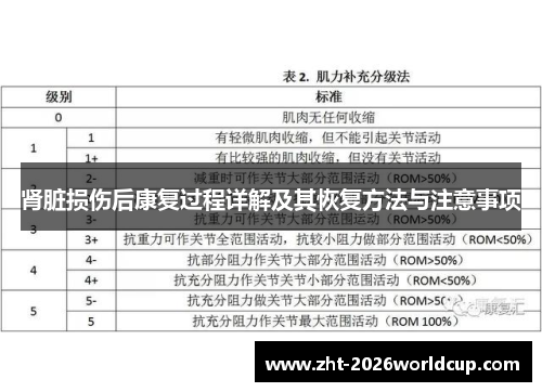 肾脏损伤后康复过程详解及其恢复方法与注意事项 肾脏损伤后康复过程详解及其恢复方法与注意事项
